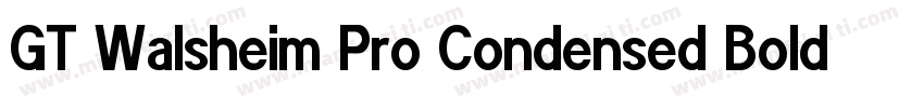 GT Walsheim Pro Condensed Bold字体转换